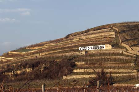 Clos Saint-Landelin, Clos St Landelin, René Muré, Vorbourg, Zinnkoepflé